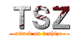 ＴＳＺ (attack on toshizo)