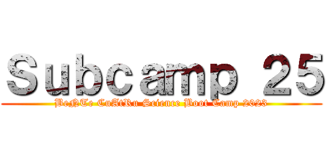 Ｓｕｂｃａｍｐ ２５ (BeNTe CuAtRu Science Boot Camp 2023)