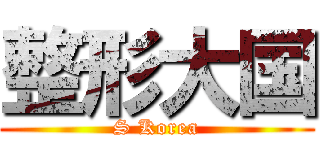 整形大国 (S Korea)