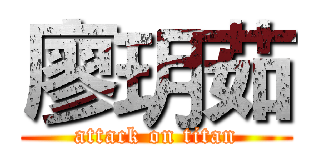 廖玥茹 (attack on titan)