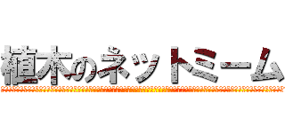植木のネットミーム (あああああああああああああああああああああああああああああああああああああああああああああああああああああああああああああああああああああああああああああ)