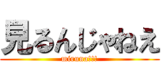 見るんじゃねえ (miruna!!!)