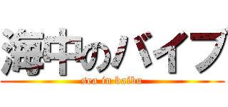 海中のバイブ (sea in baibu)