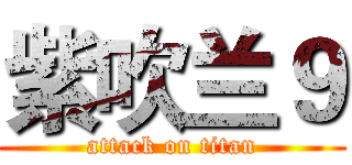 紫吹兰９ (attack on titan)