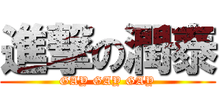 進撃の潤泰 (GAY GAY GAY)