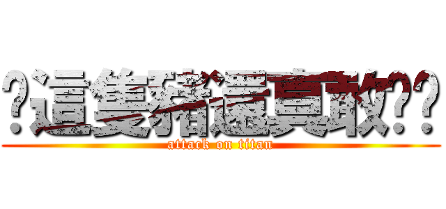 你這隻豬還真敢說啊 (attack on titan)