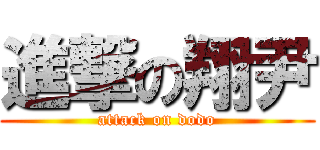 進撃の翔尹 (attack on dodo)