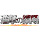 進撃の鎮陽 (attack on FUCK)