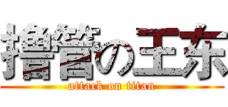 撸管の王东 (attack on titan)
