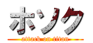 ホソク (attack on titan)