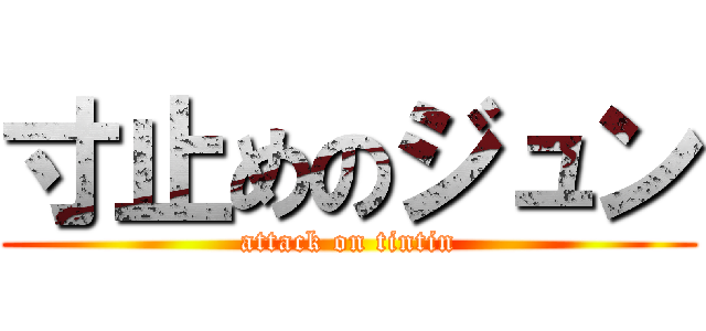 寸止めのジュン (attack on tintin)