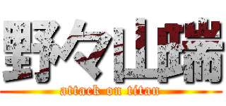 野々山瑞 (attack on titan)