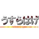 うすらはげ (usurahage)