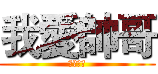 我愛帥哥 (帥哥最棒)