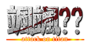 颯颯✭〞 (attack on titan)