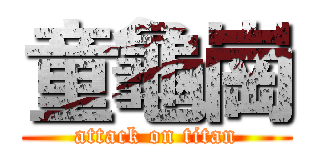 童龜崗 (attack on titan)