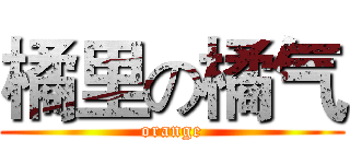 橘里の橘气 (orange)