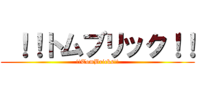  ！！トムブリック！！ (!!TomBricks!!)