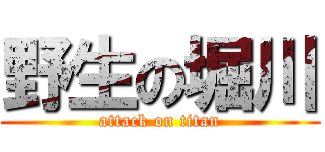 野生の堀川 (attack on titan)