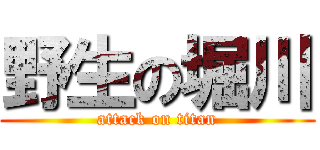 野生の堀川 (attack on titan)