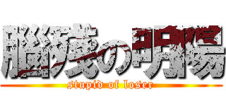 腦殘の明陽 (stupid of loser)