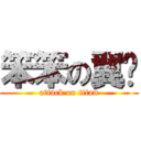 笨笨の翼枫 (attack on titan)