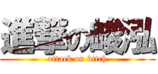 進撃の峻泓 (attack on bitch)