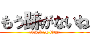 もう跡がないね (attack on titan)