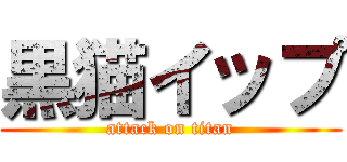黒猫イップ (attack on titan)