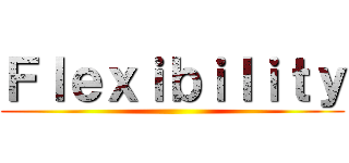 Ｆｌｅｘｉｂｉｌｉｔｙ ()