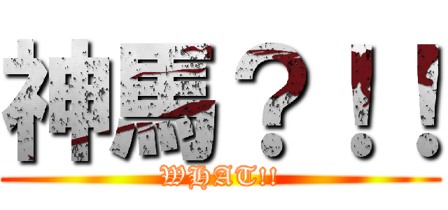 神馬？！！ (WHAT!!)