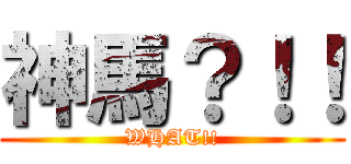 神馬？！！ (WHAT!!)