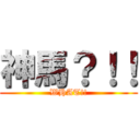 神馬？！！ (WHAT!!)