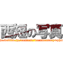 西短の写真 (http://ejje.weblio.jp/content/documentary+photography)