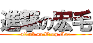 進撃の宏毛 (attack on Wang Mao)