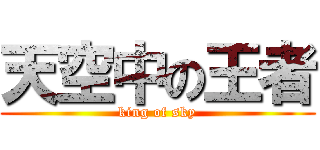天空中の王者 (king of sky)