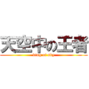 天空中の王者 (king of sky)