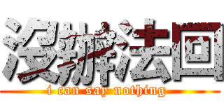 沒辦法回 (i can say nothing )