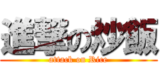 進撃の炒飯 (attack on Rice)