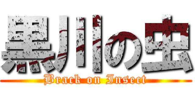 黒川の虫 (Brack on Insect)