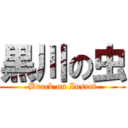 黒川の虫 (Brack on Insect)