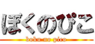 ぼくのぴこ (boku no pico)