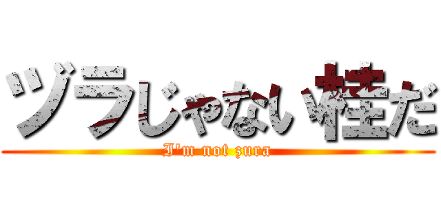 ヅラじゃない桂だ (I'm not zura)