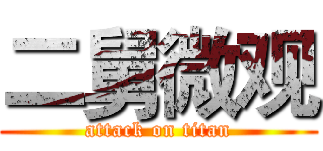 二舅微观 (attack on titan)
