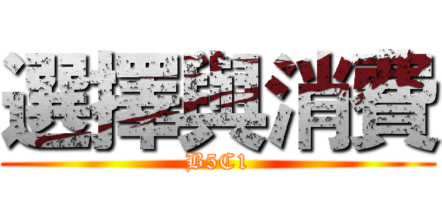 選擇與消費 (B5C1)