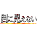 目に見えない (invisible)