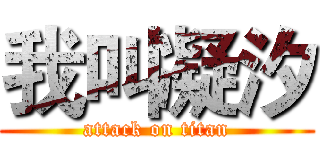 我叫凝汐 (attack on titan)