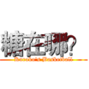 糖在哪？ (Kuroko's Basketball)
