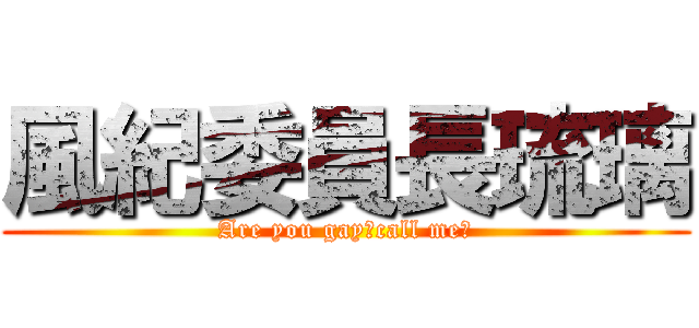 風紀委員長琉璃 (Are you gay？call me！)