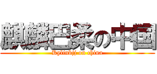 麒麟巴柔の中国 (Kylinbjj on china)